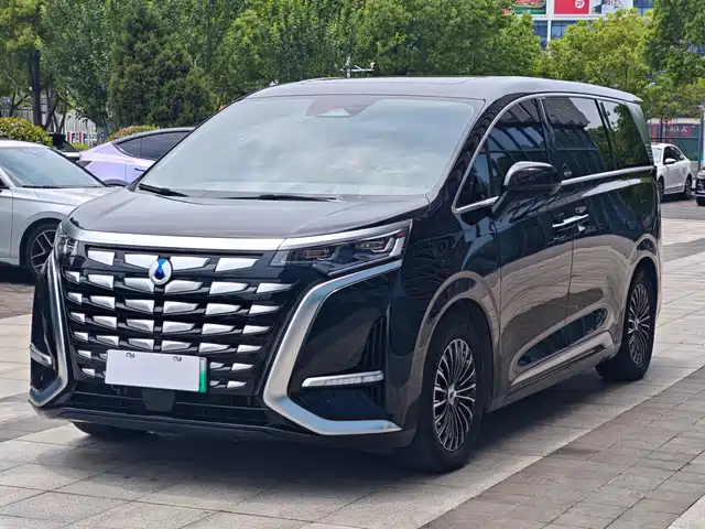 2024 Denza D9