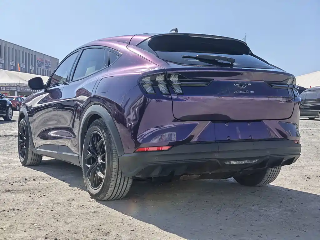 Ford Mustang Mach-E — миниатюра 9
