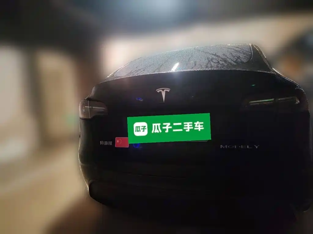 Tesla Model Y — миниатюра 6