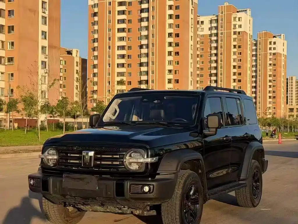 Tank 300