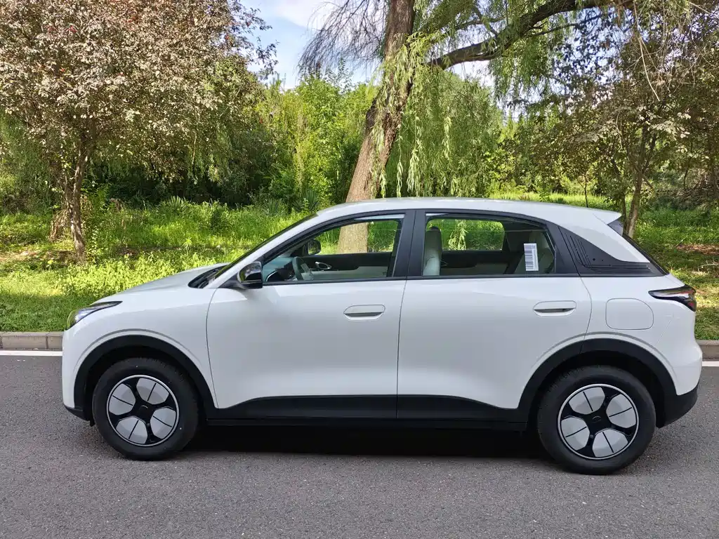 Geely Geome Xingyuan 2026 310km