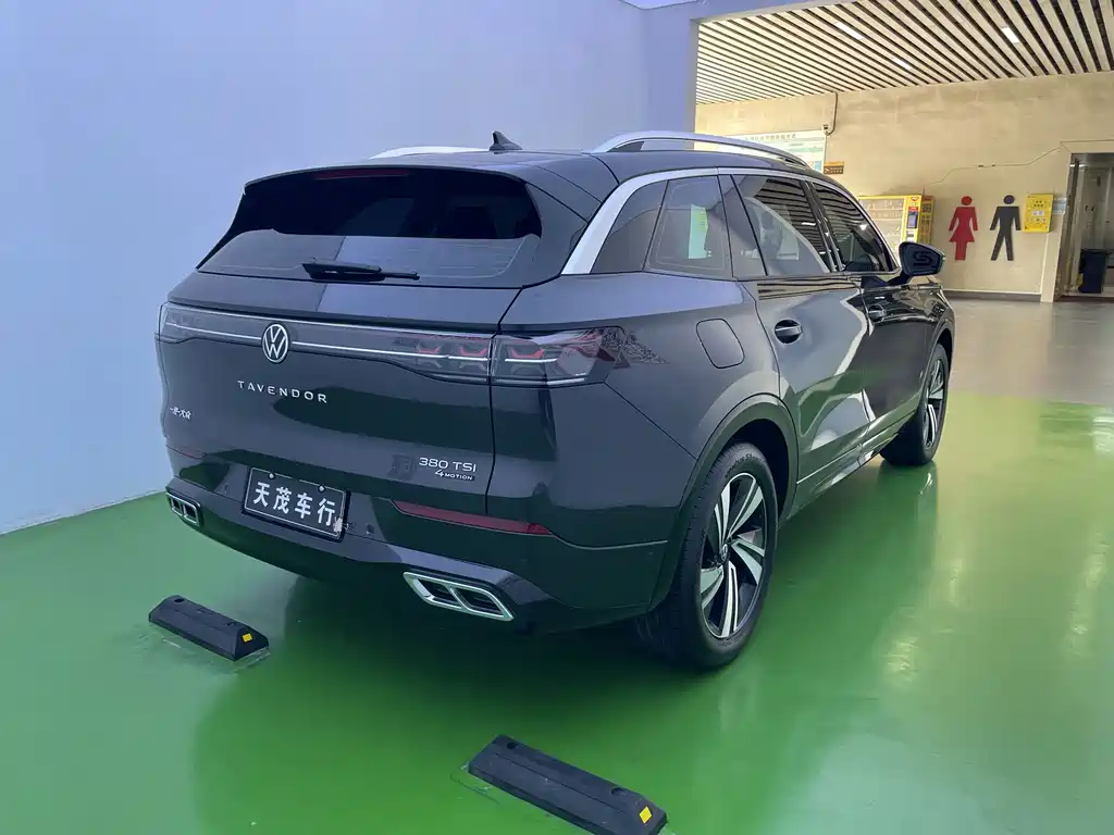 Volkswagen Tavendor — миниатюра 24
