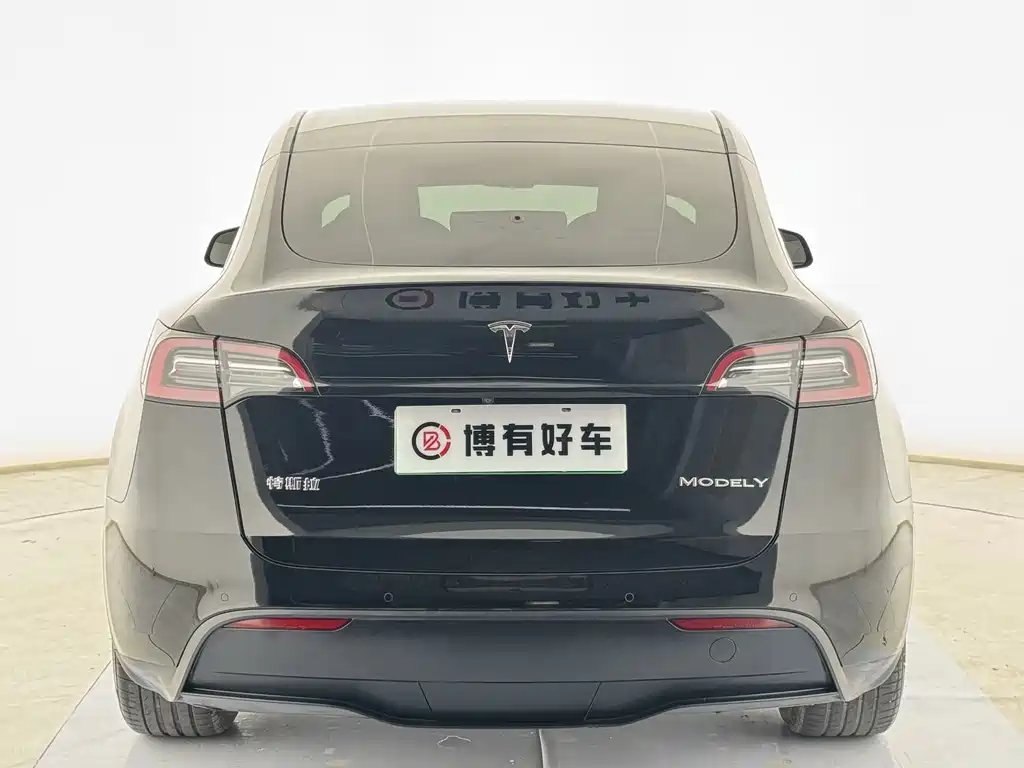 Tesla Model Y — миниатюра 11
