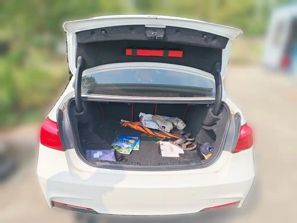 BMW 3 Series — миниатюра 15