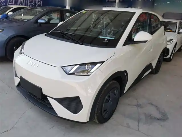2026 BYD Seagull