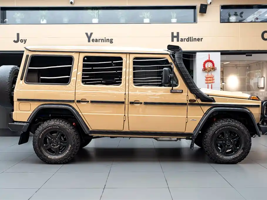 Mercedes-Benz G-Class G 2010 G 300 P