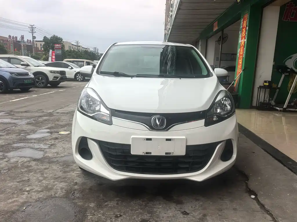 2021 Changan Benni EC/EV - zdjęcie 1 z 9