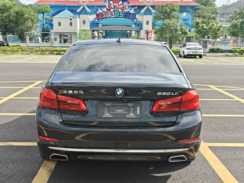 BMW 5 Series 5 2020 530Li Premium Luxury