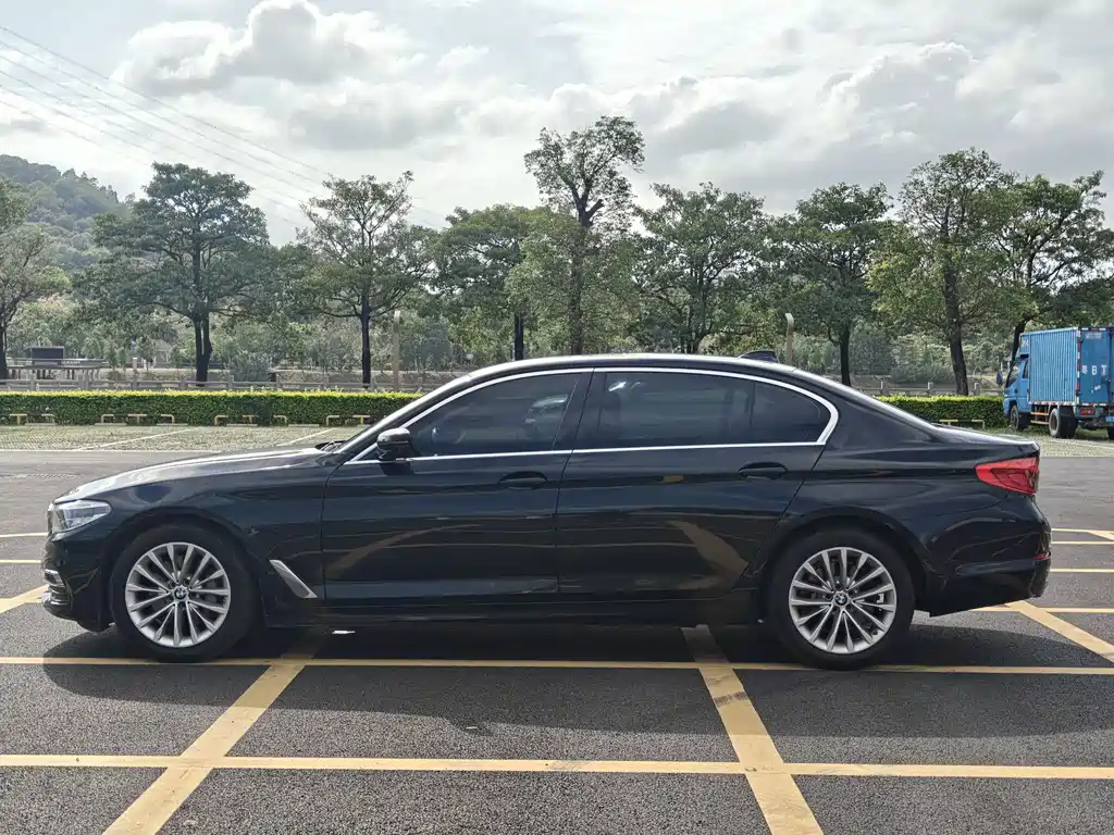 BMW 5 Series 5 2020 530Li Premium Luxury