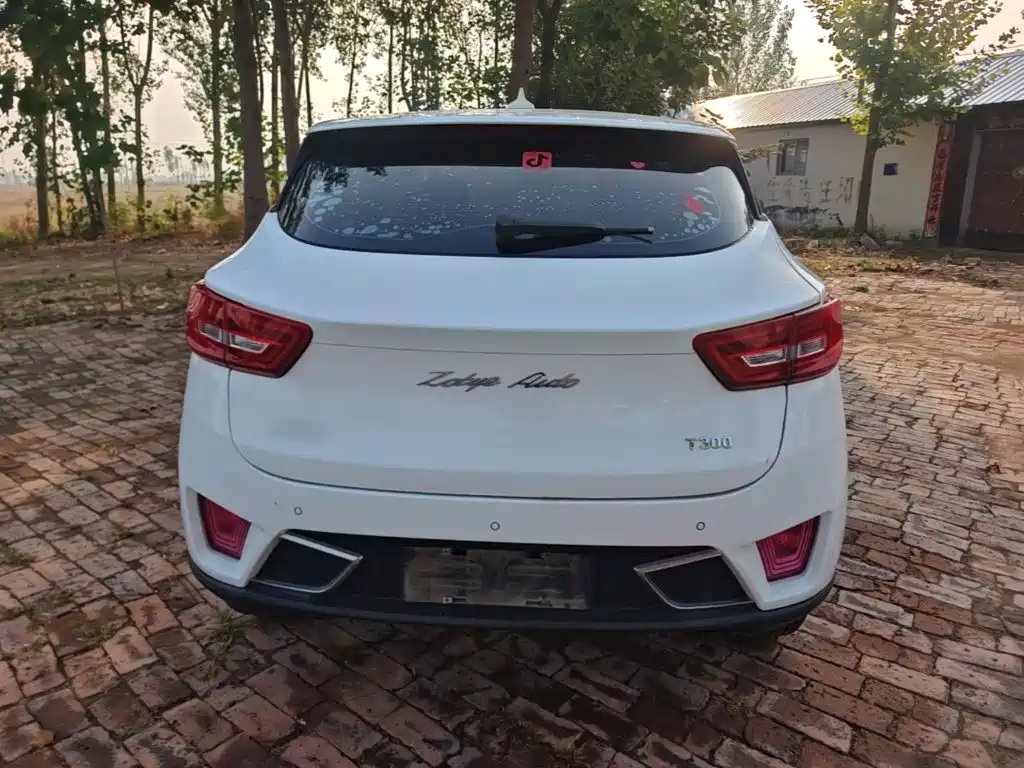 Zotye Zotye T300 — миниатюра 6