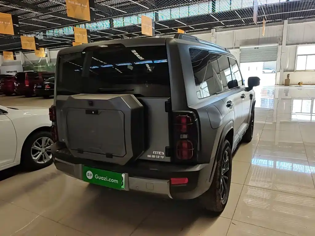 Haval Menglong New Energy — миниатюра 7