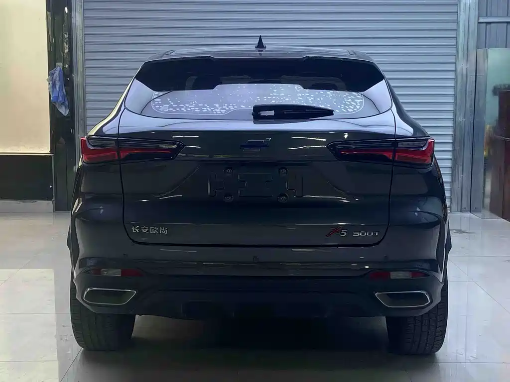 Oshan Oushang X5 — миниатюра 8