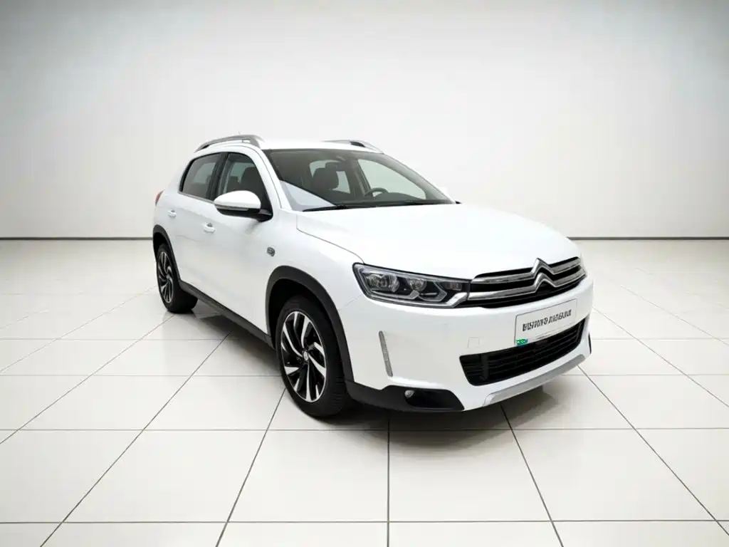 Citroen C3-XR — миниатюра 3