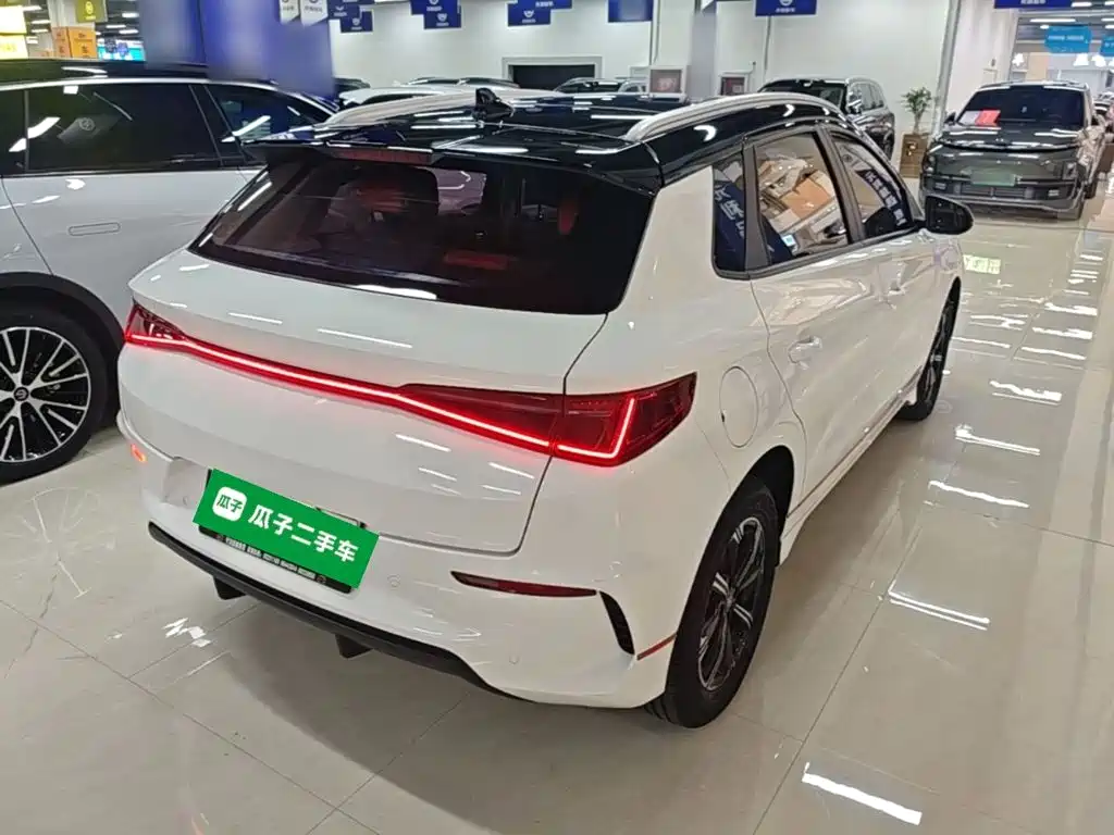BYD E2 2021 Luxury