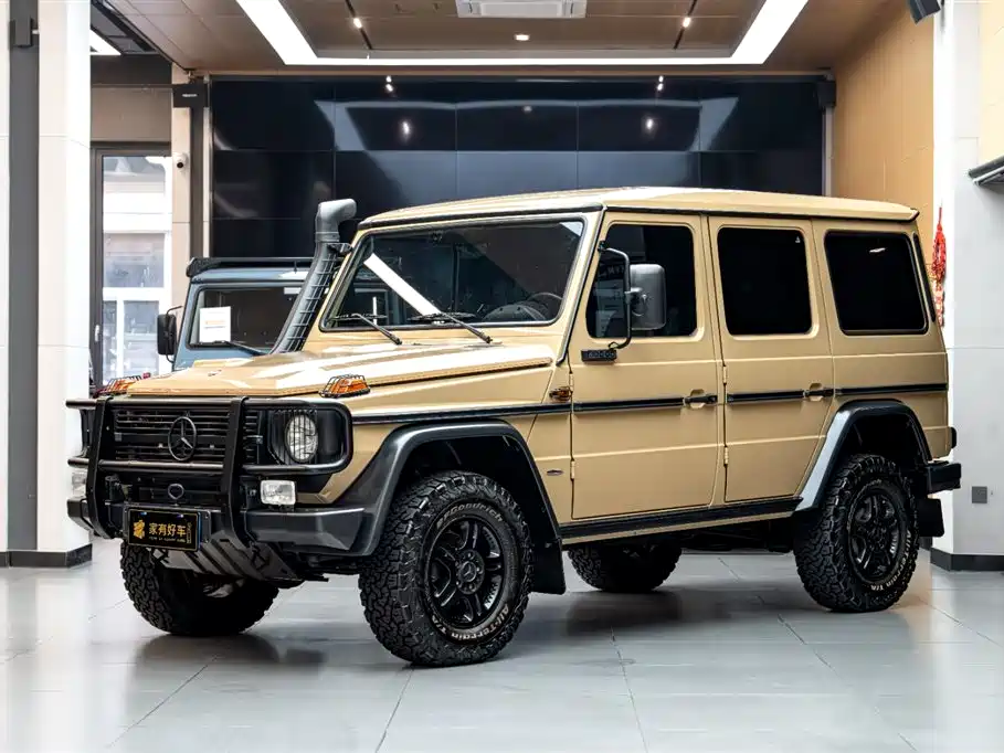 Mercedes-Benz G-Class 2010