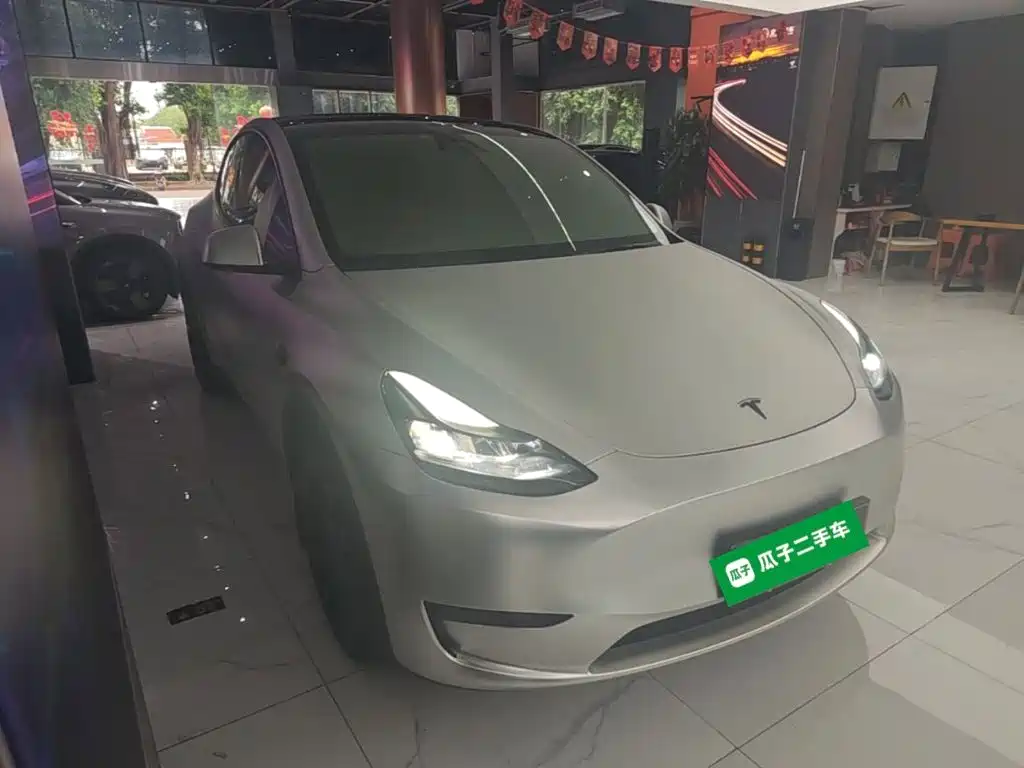 Tesla Model Y — миниатюра 4
