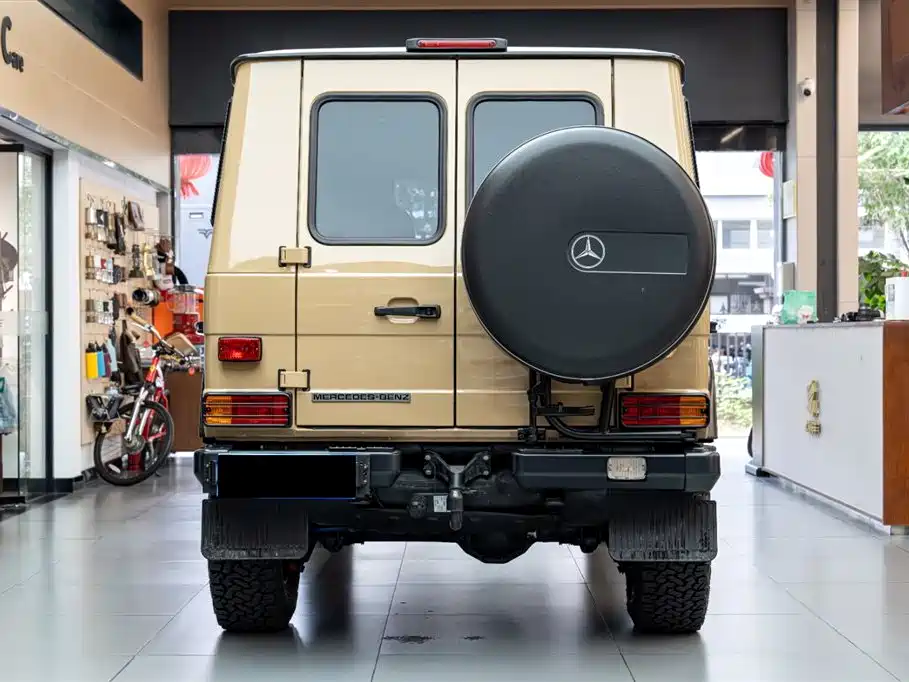 Mercedes-Benz G-Class G 2010 G 300 P