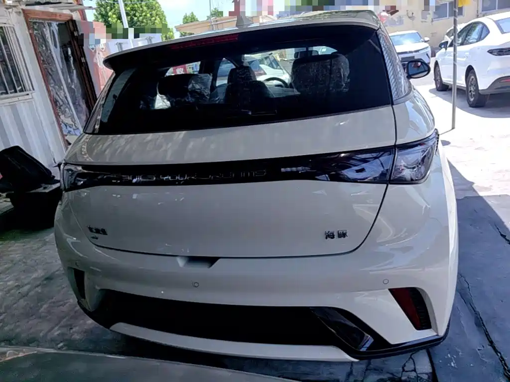 BYD Dolphin 2025 420km Freedom