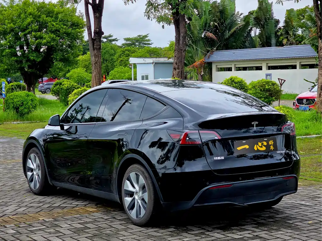Tesla Model Y — миниатюра 7