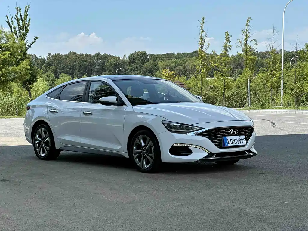 Hyundai Fista — миниатюра 2