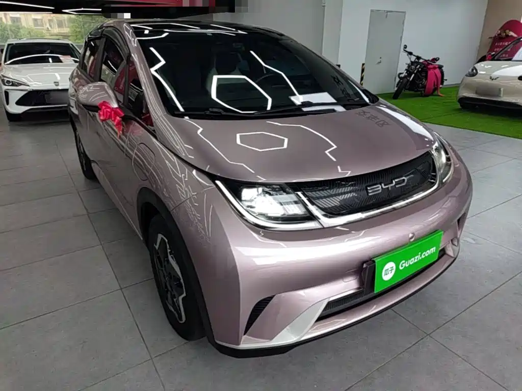 BYD Dolphin - фото 4