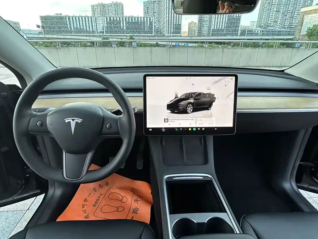 Tesla Model Y — миниатюра 15