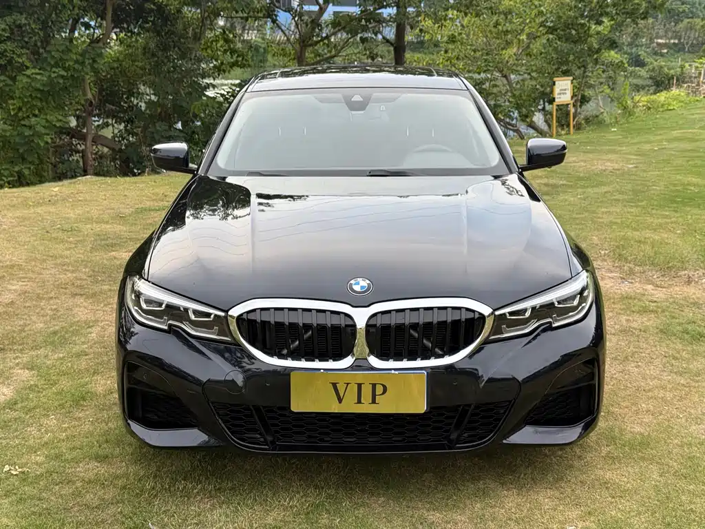 BMW 3 Series — миниатюра 2