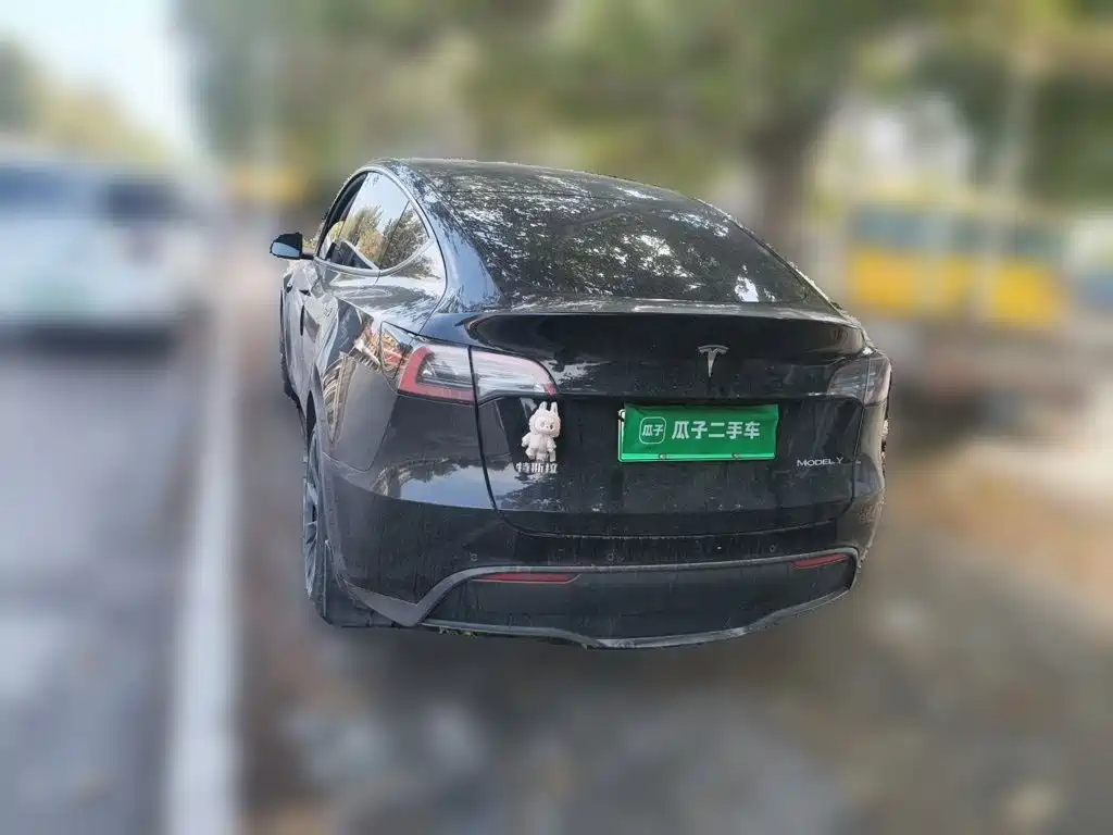 Tesla Model Y — миниатюра 4
