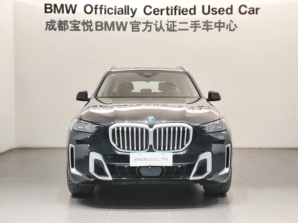 BMW X5 — миниатюра 2