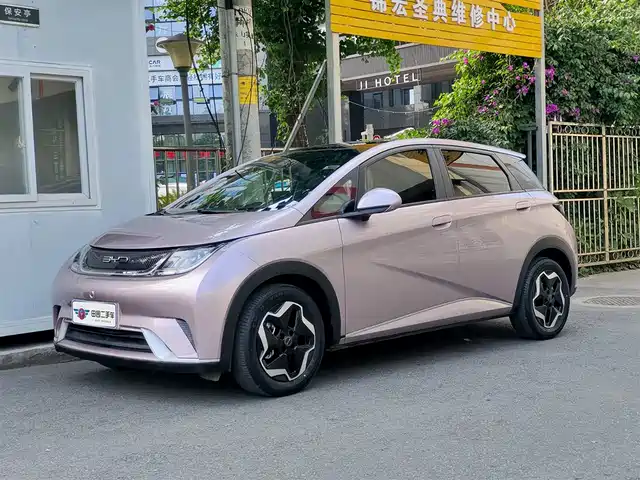 2022 BYD Dolphin