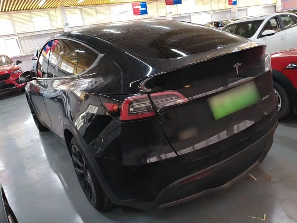 Tesla Model Y — миниатюра 5