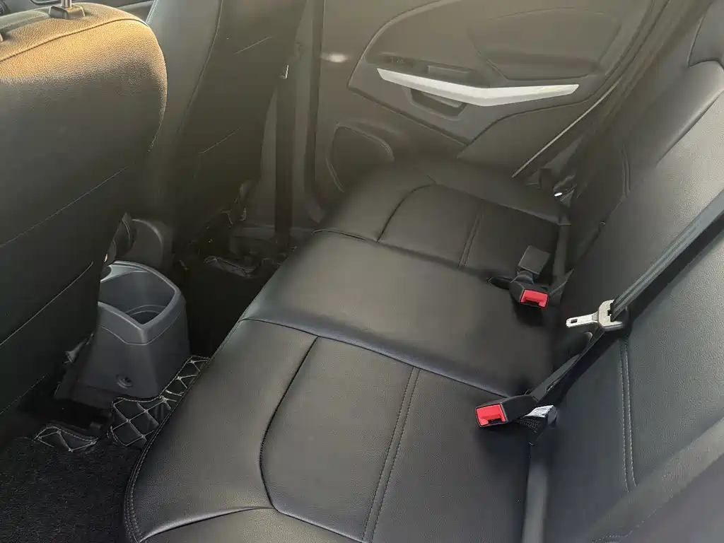Ford Ecosport — миниатюра 4