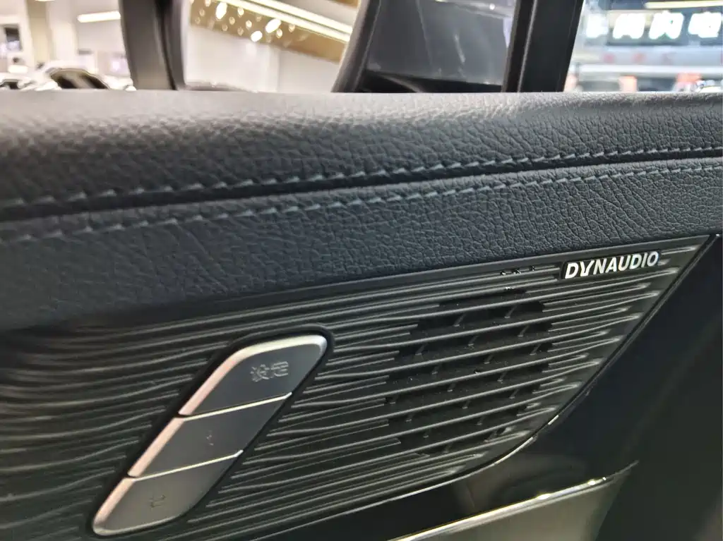 BYD Tang New Energy — миниатюра 23