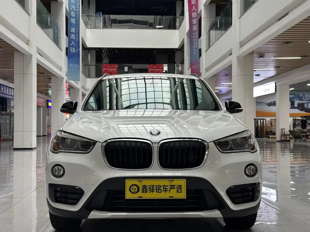 BMW X1 — миниатюра 2