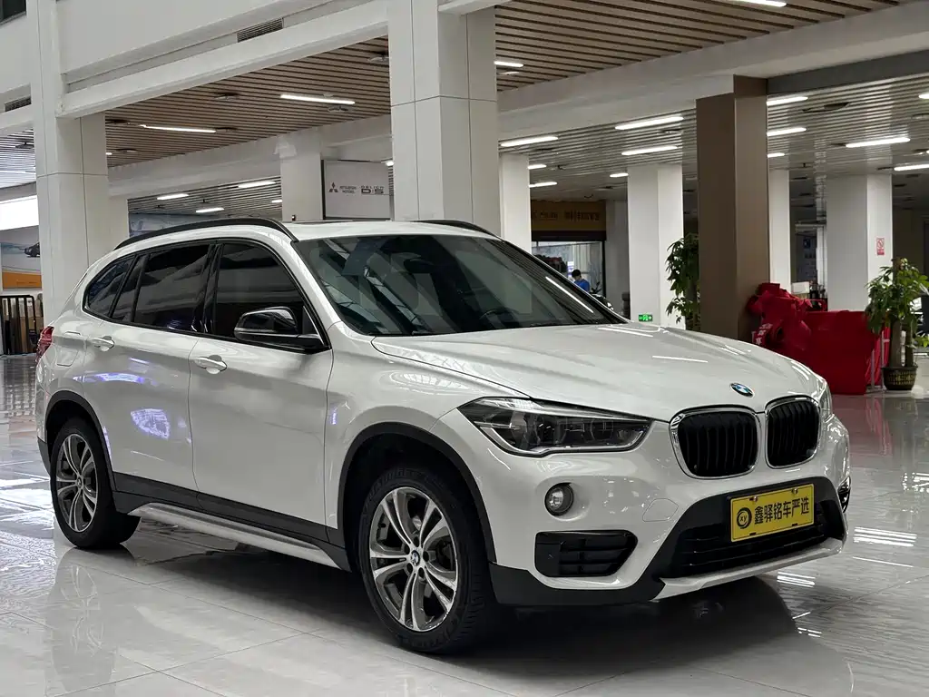 BMW X1 — миниатюра 3