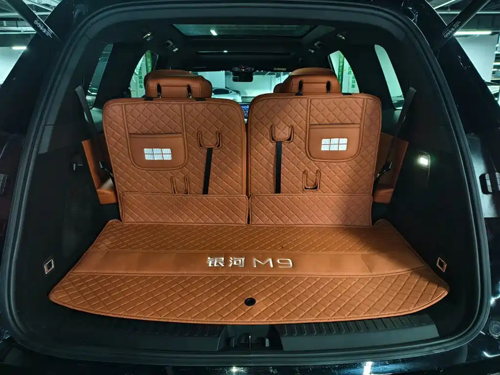 Geely Galaxy Galaxy M9 M9 2025 100km