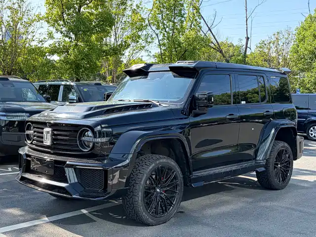 2023 TANK 300