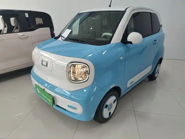 2024 Bestune Pony