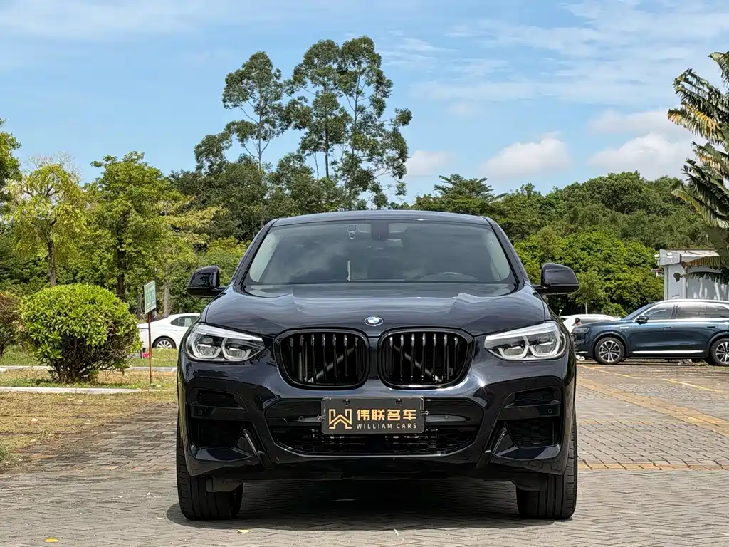 BMW X4 — миниатюра 2