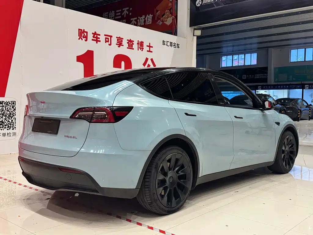 Tesla Model Y — миниатюра 4