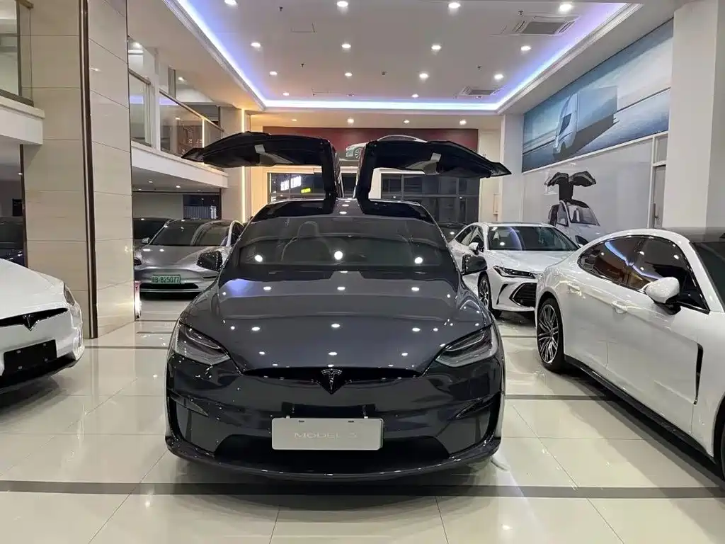 Tesla Model X — миниатюра 2