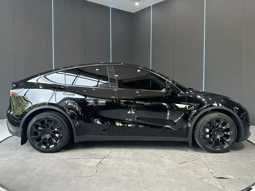 Tesla Model Y — миниатюра 4