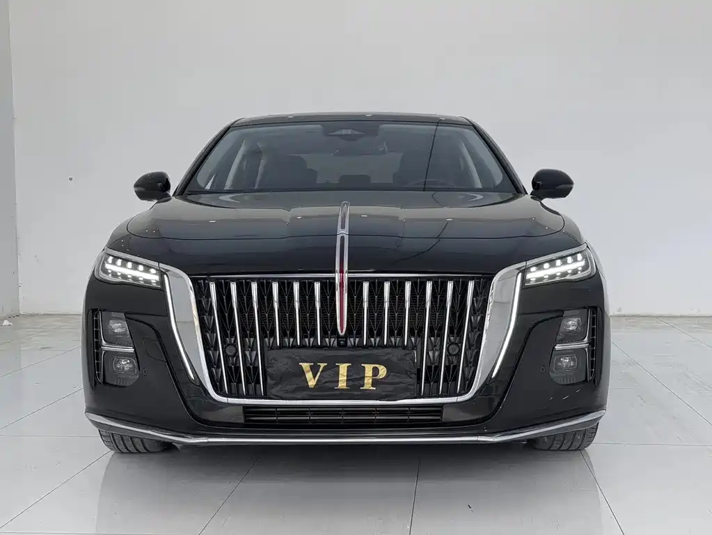 Hongqi Hongqi H5 — миниатюра 2