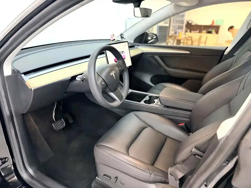 Tesla Model Y — миниатюра 8