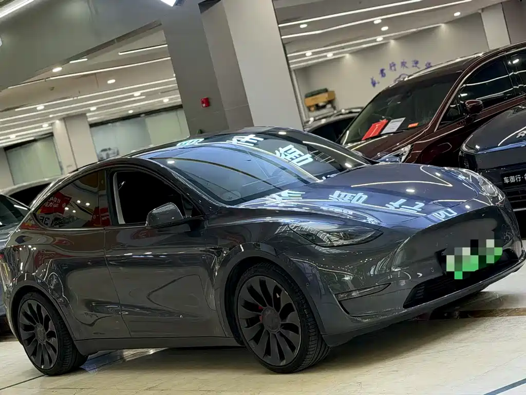 Tesla Model Y — миниатюра 3