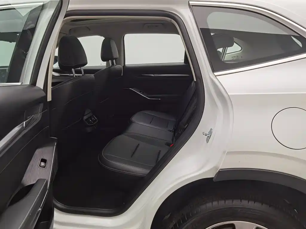 Haval H6 New Energy — миниатюра 15