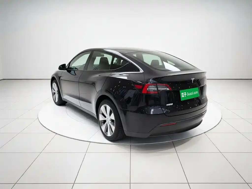Tesla Model Y — миниатюра 5