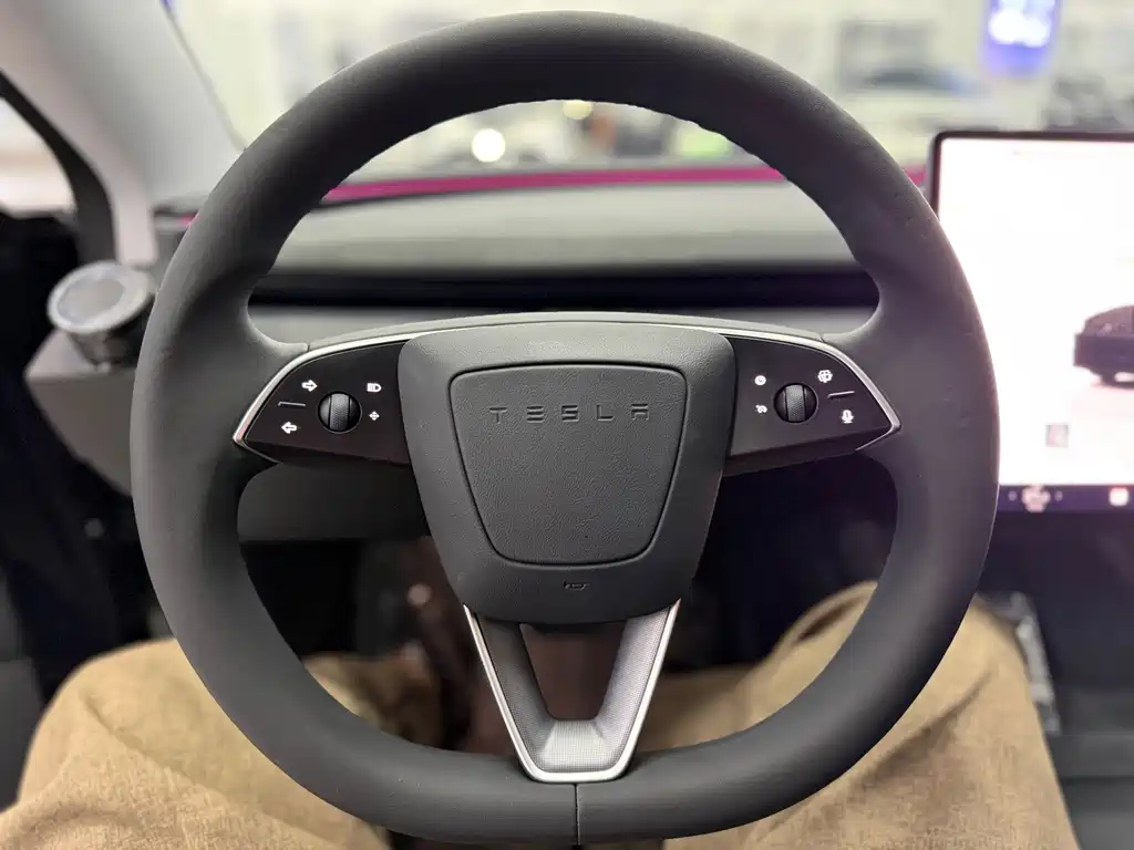 Tesla Model 3 — миниатюра 13