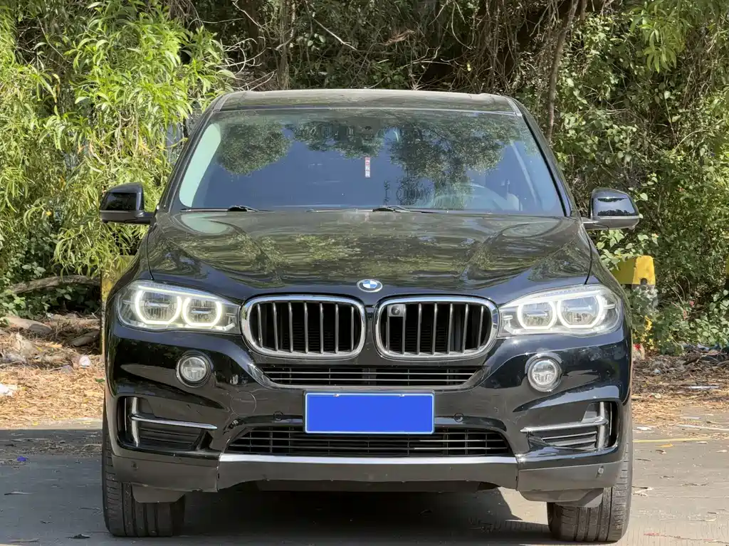 BMW X5 2017 xDrive35i Lead