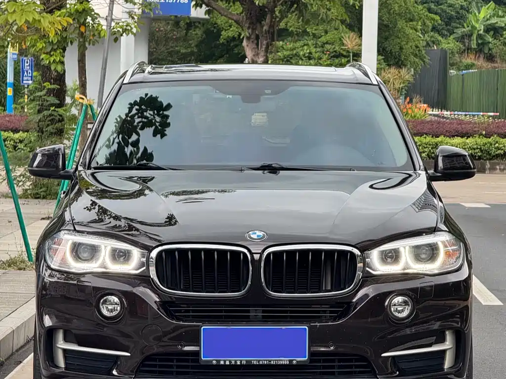 BMW X5 2014 xDrive35i Lead